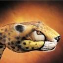 pic for Handmade Cheetah